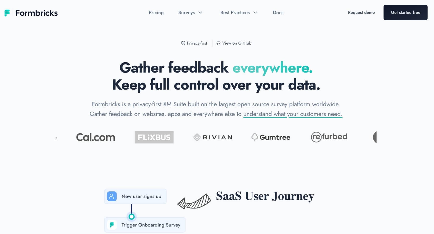 Formbricks open source survey software