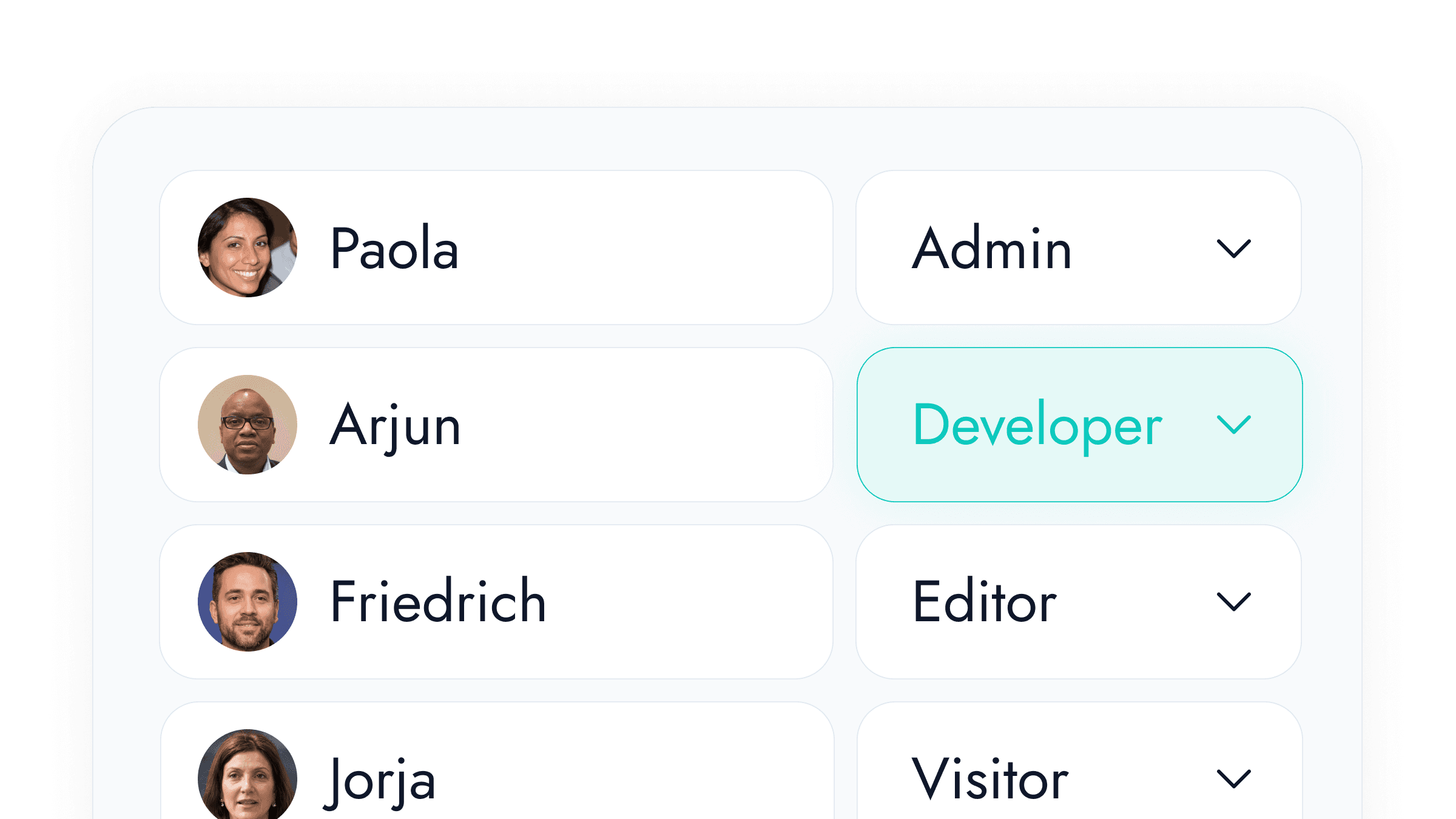 Interface showcasing team roles and access rights for in-app survey setup and insights