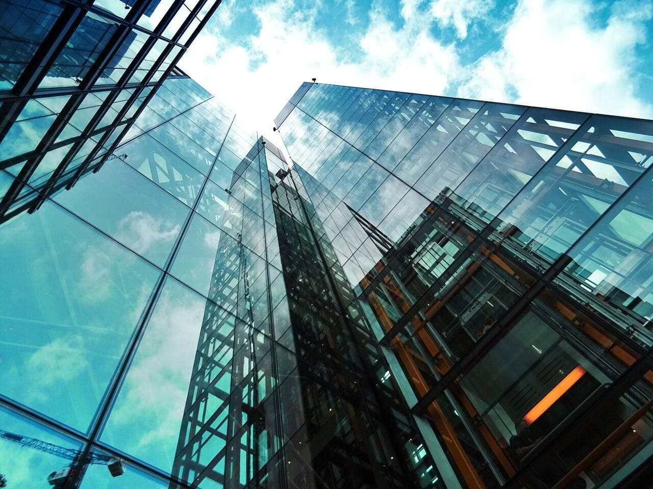 Professional business building representing expert specializations and expertise