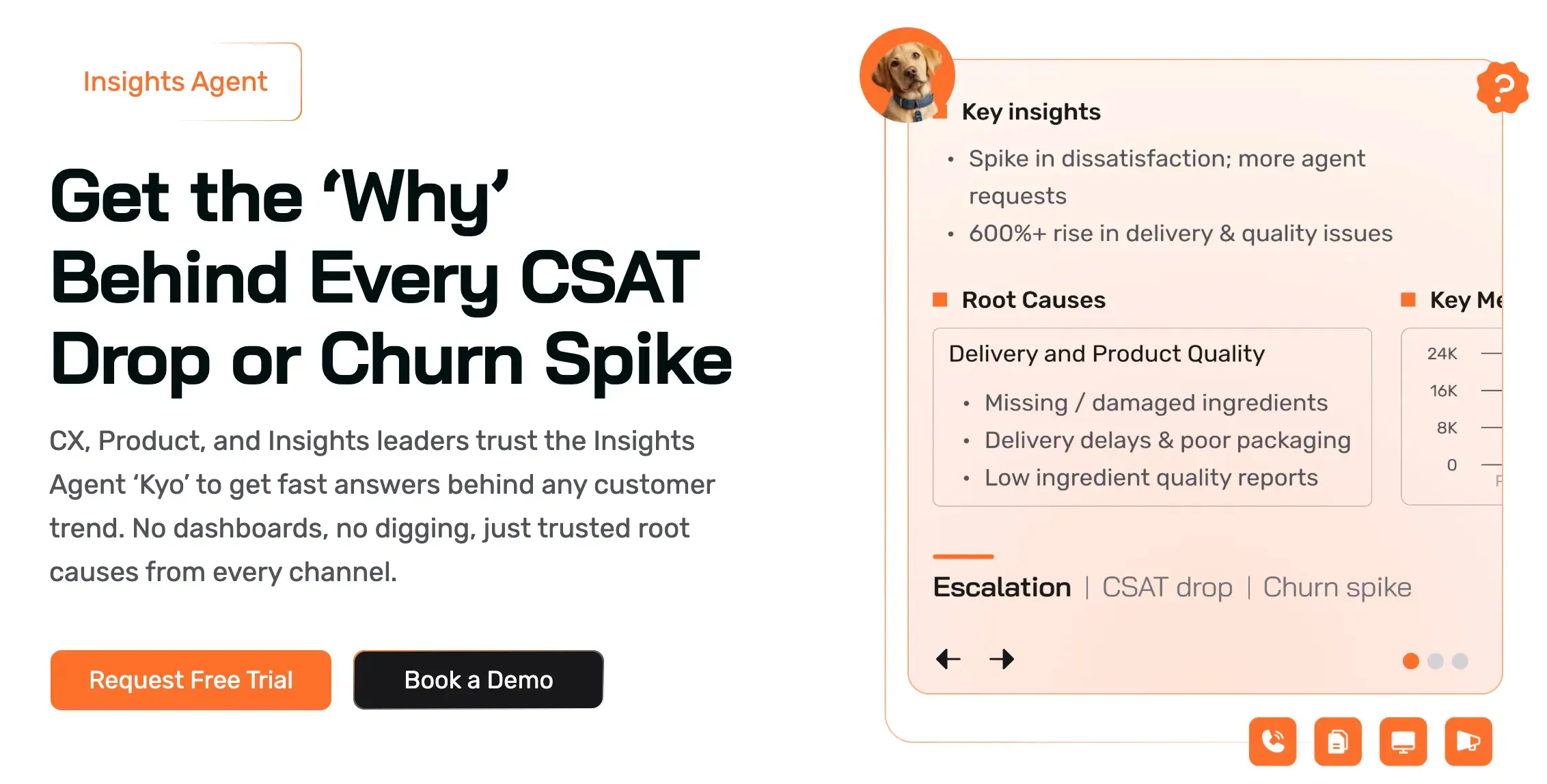 SentiSum CX Intelligence