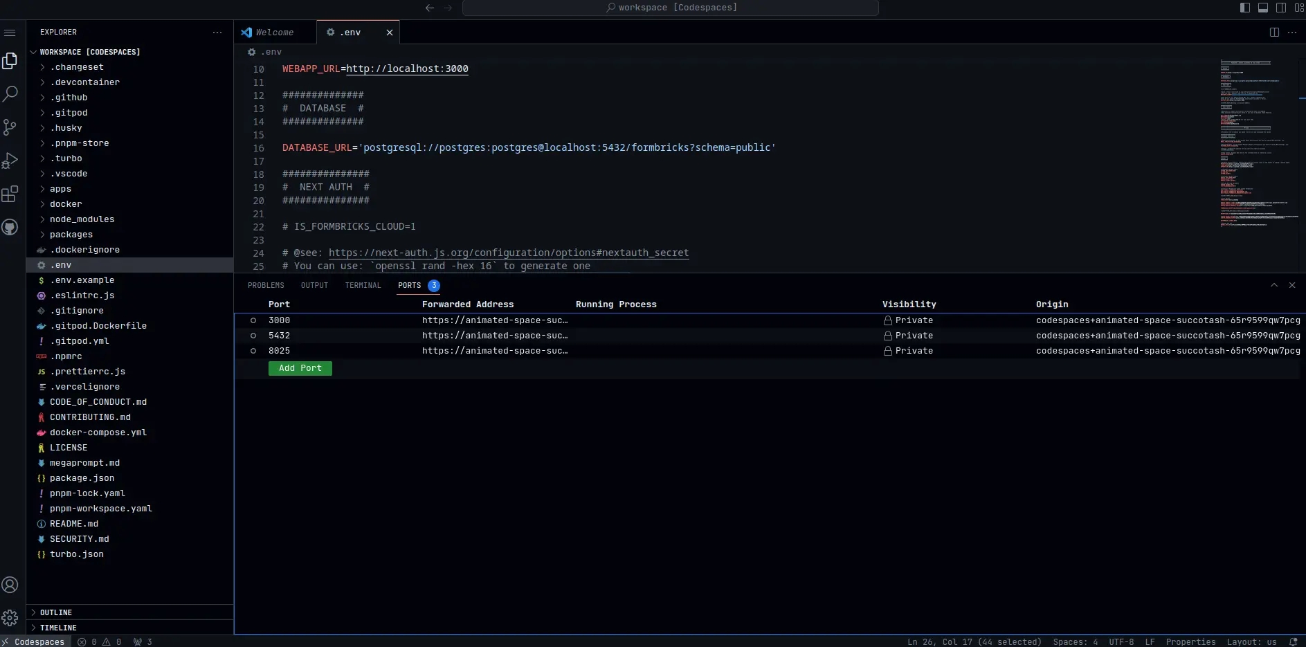 Github Codespace Ports